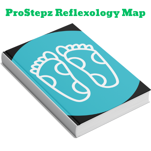 ProStepz Foot Reflexology Map
